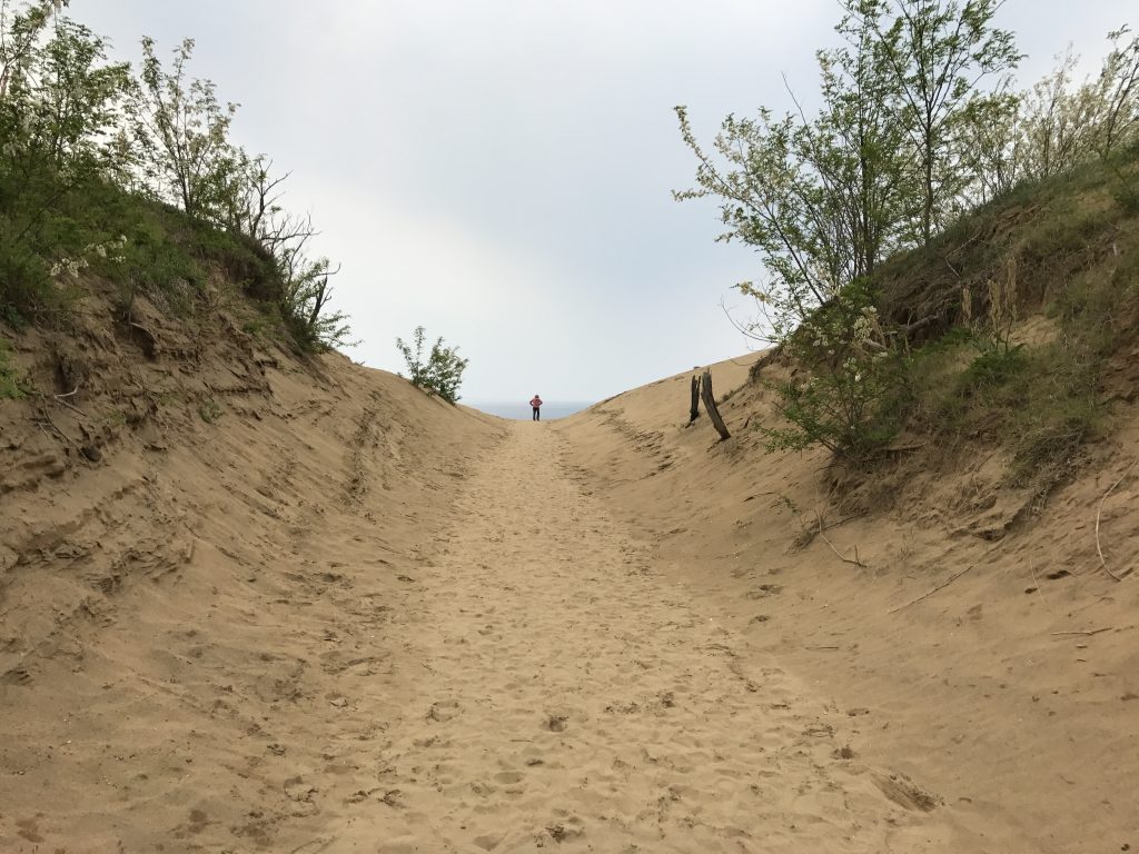砂丘の入り口