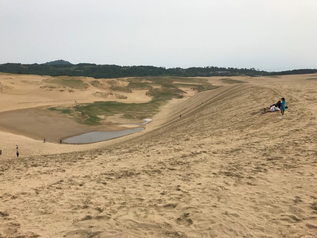 鳥取県鳥取市の住みやすさと住みにくさ