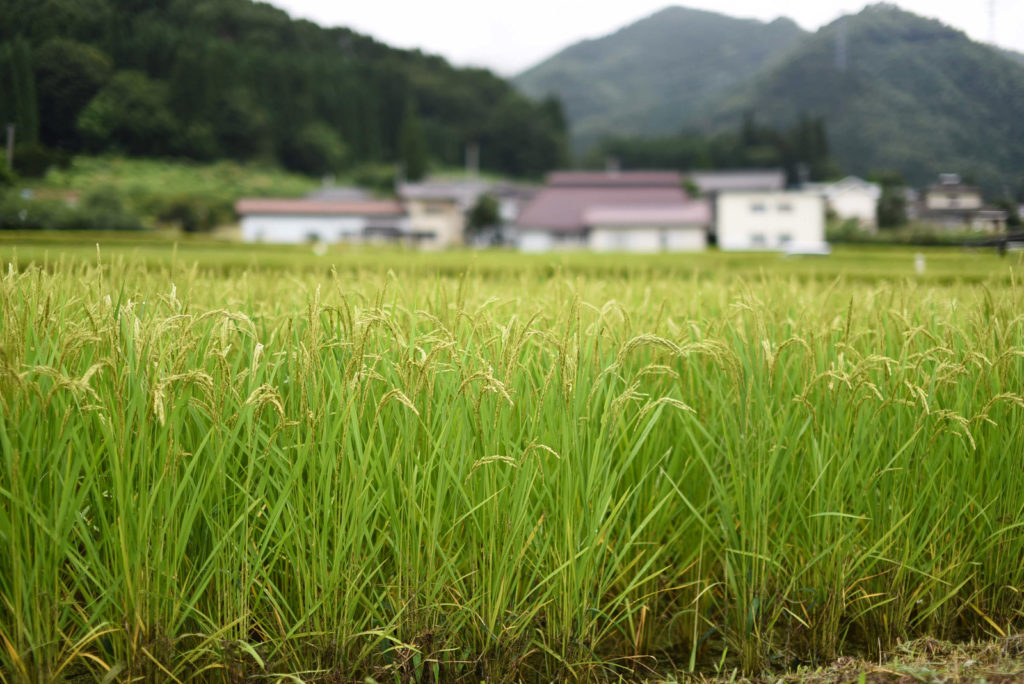 新潟県南魚沼郡湯沢町の住みやすさ・住みにくさ