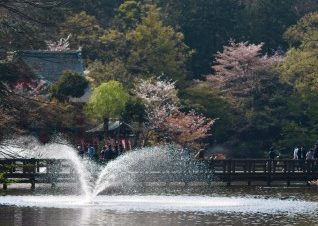 JR吉祥寺駅周辺で暇つぶしできる場所